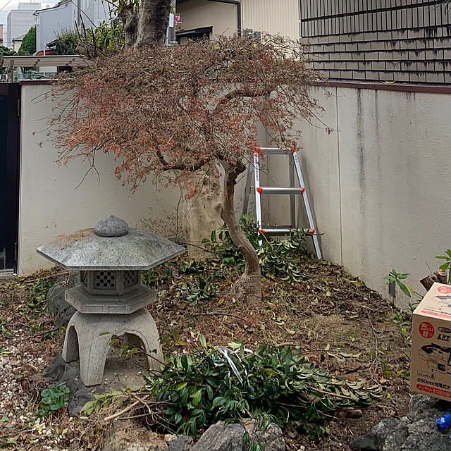 erikoさんの実例写真