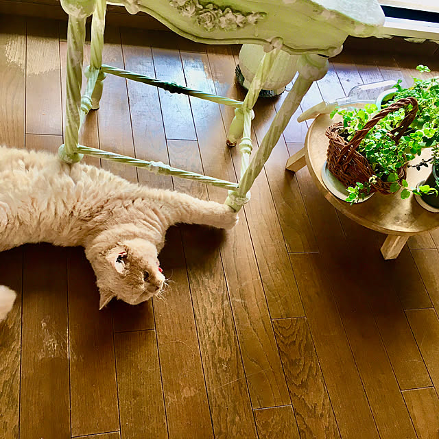 naokoさんの部屋