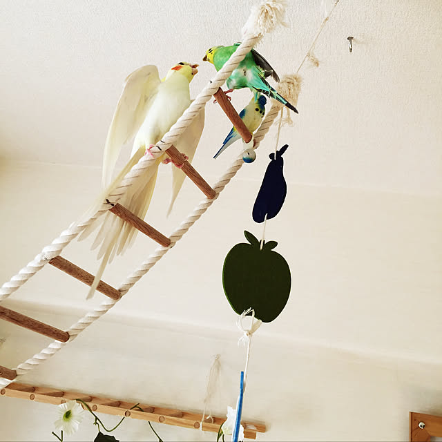 toratanさんの実例写真