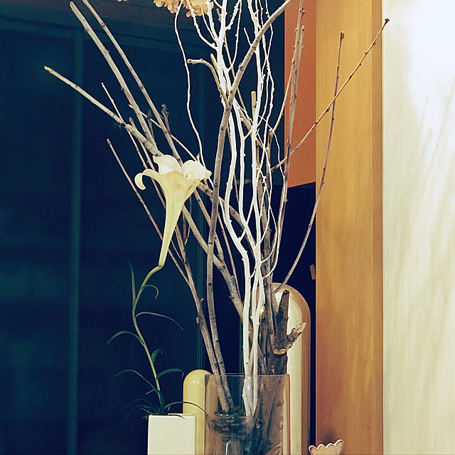sagocchiさんの実例写真