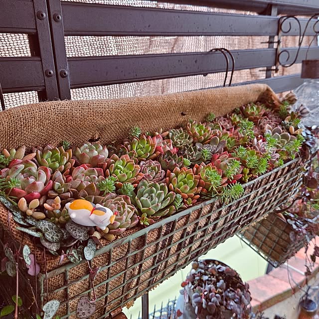 mocomocoさんの部屋