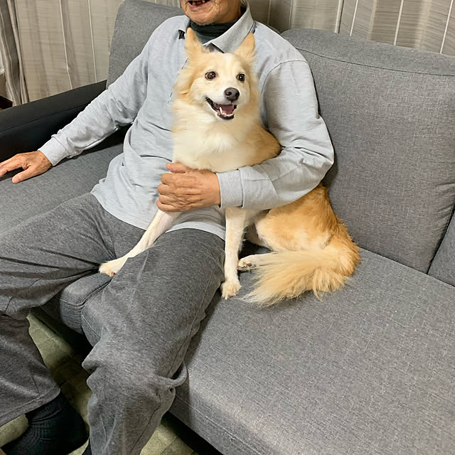 cheminさんの実例写真