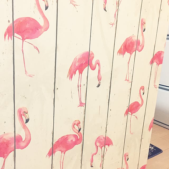 ka---yo0618さんの実例写真