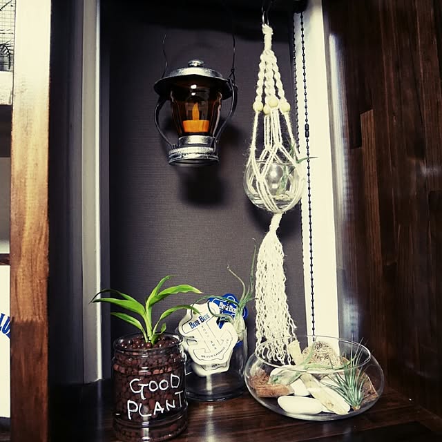 andante365さんの実例写真