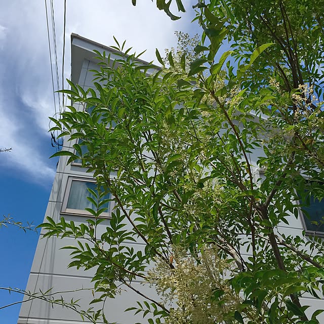 Rさんの実例写真
