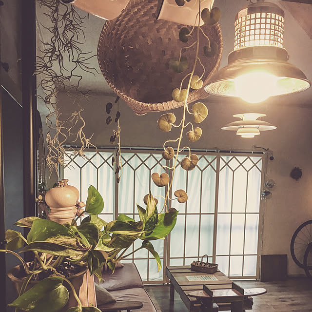 diez_taraさんの実例写真