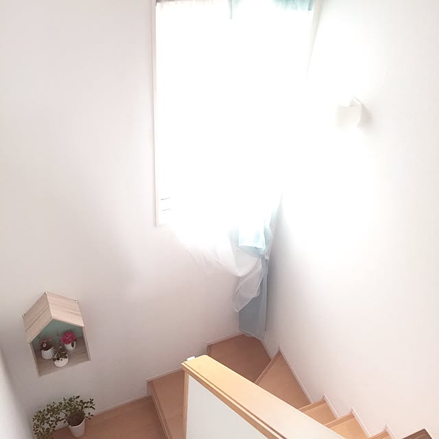 Saraさんの実例写真