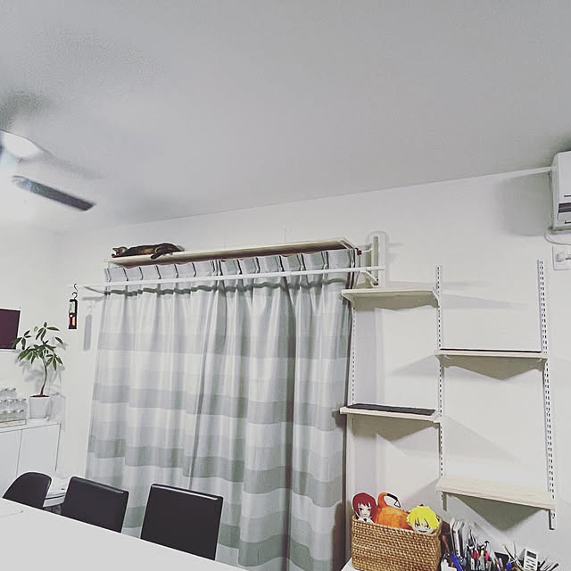 cyanさんの実例写真