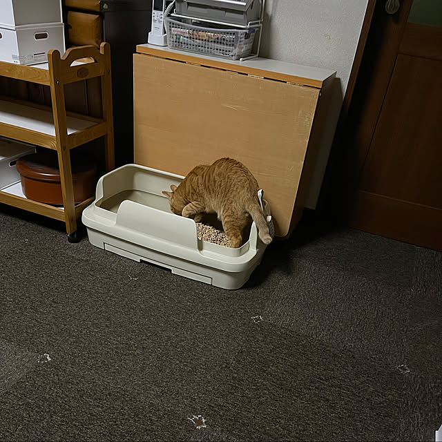 kikiさんの実例写真