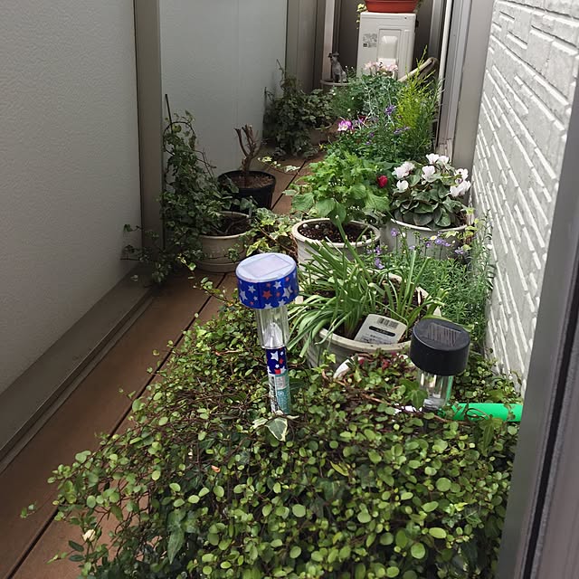 emiさんの実例写真