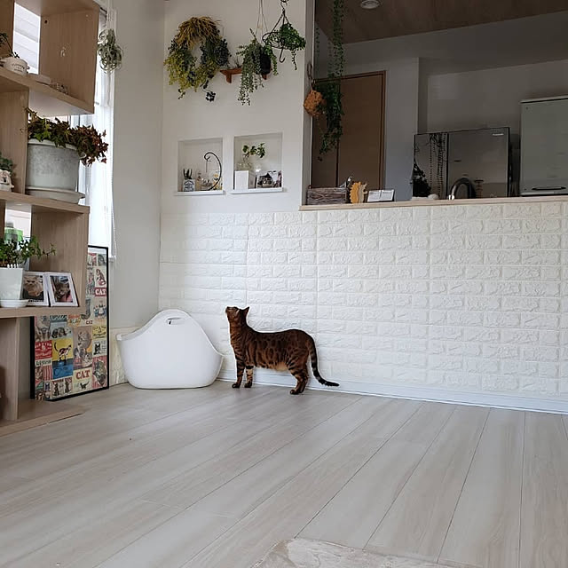 megu.catさんの実例写真