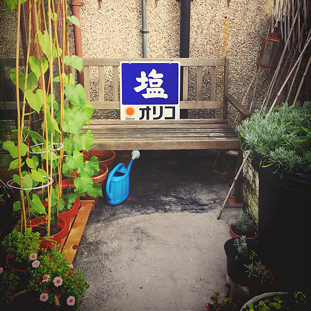 nekohigeさんの実例写真