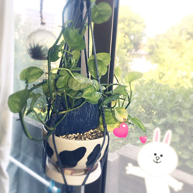 kou-kitiさんの実例写真