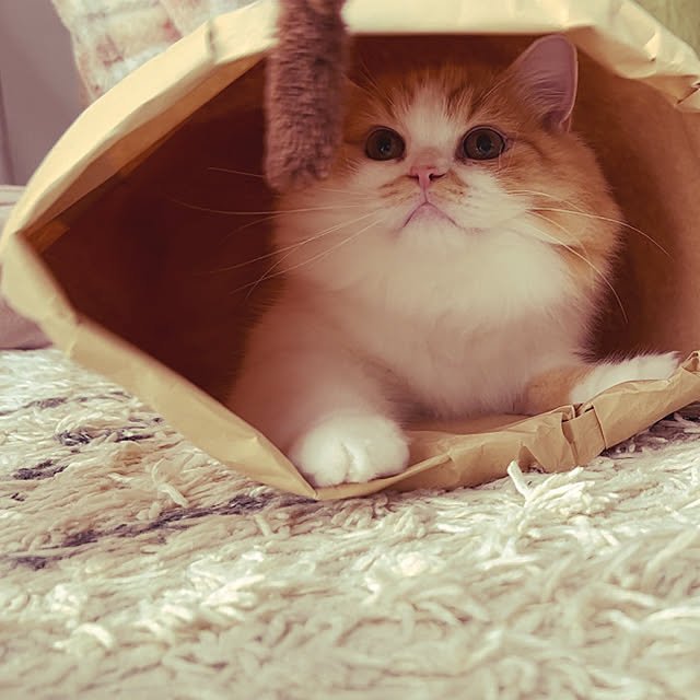 junさんの部屋