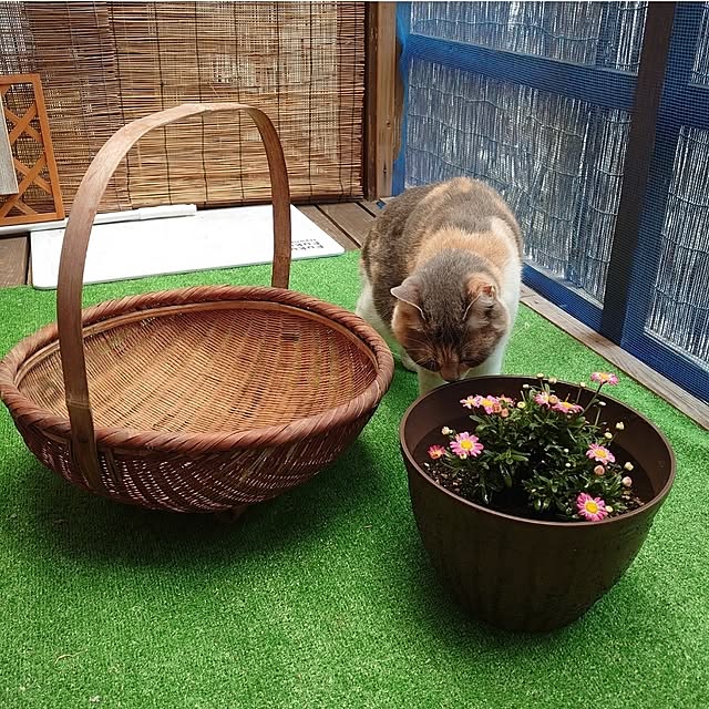 fukuさんの部屋