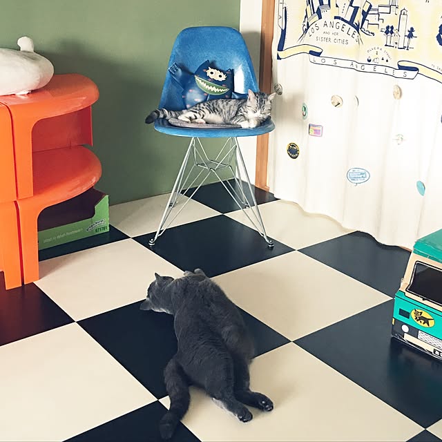 Shojiさんの実例写真