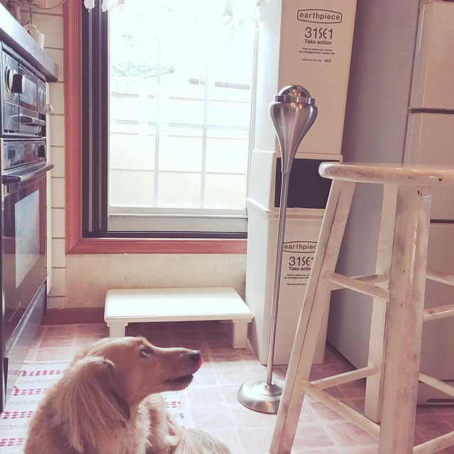 rashさんの実例写真