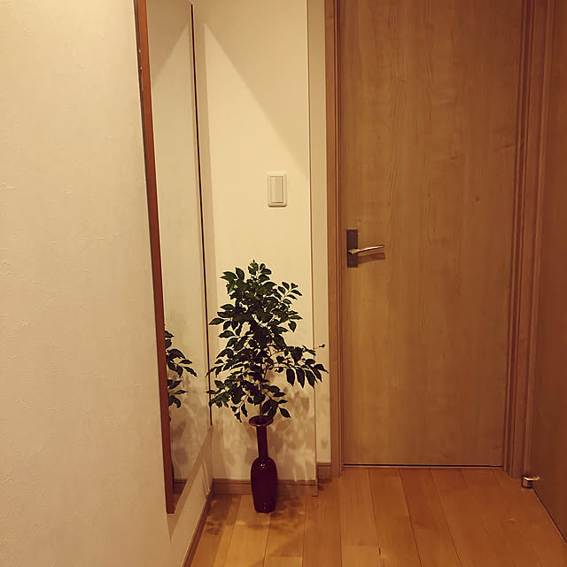hatsugaさんの実例写真