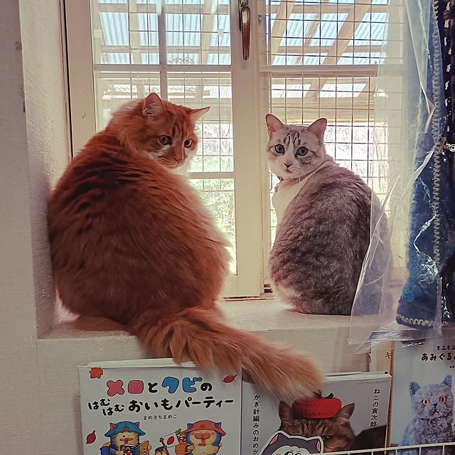 maruwataroさんの実例写真