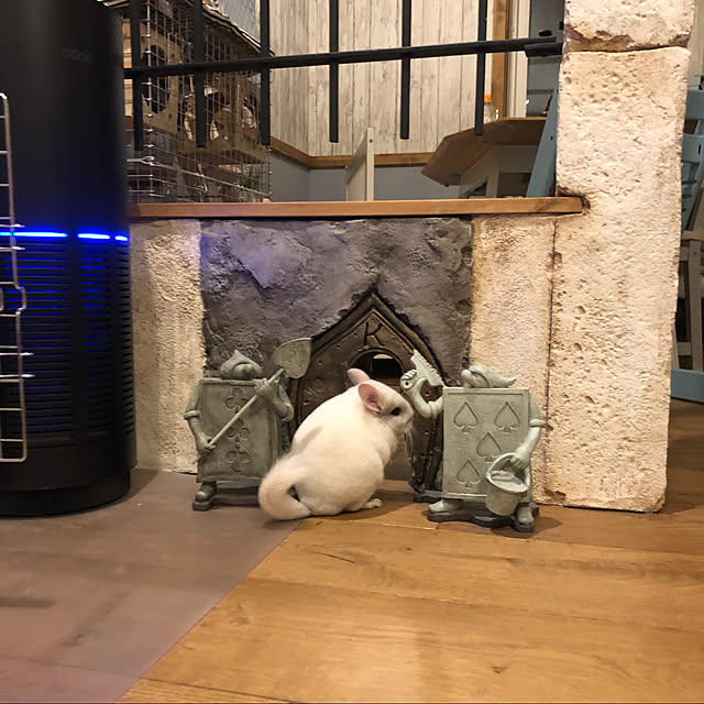 bambiさんの実例写真