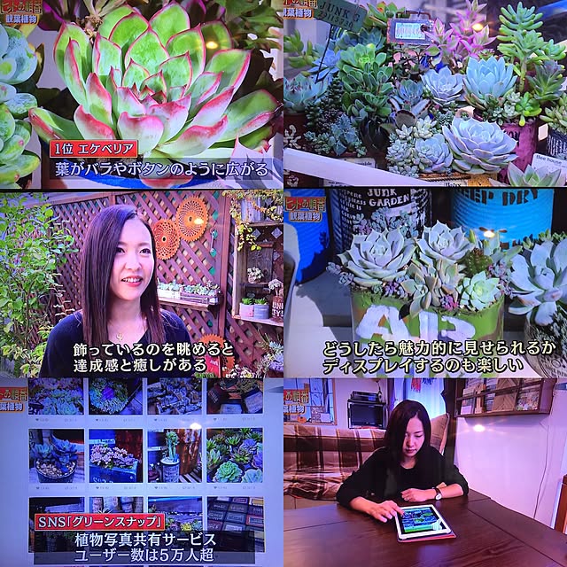 riemarukoさんの実例写真