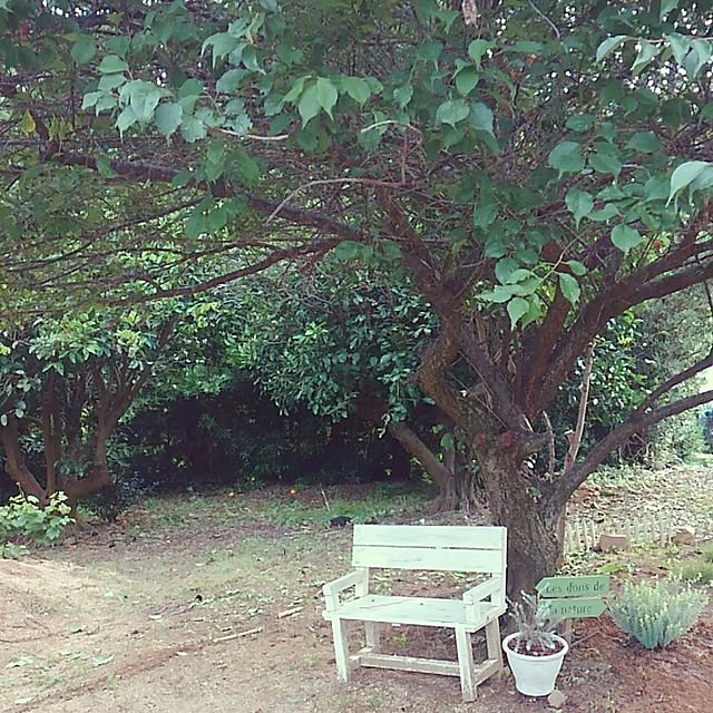 satomiさんの実例写真