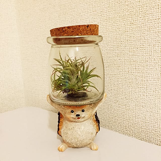 taro..nupiさんの実例写真