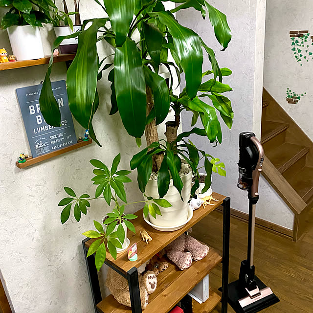 Yoshiさんの実例写真