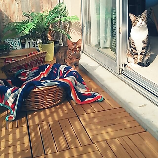 Rabbitさんの実例写真