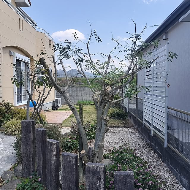 feuileさんの部屋