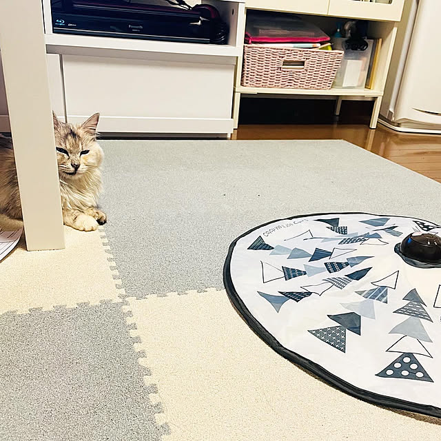 chachaさんの実例写真