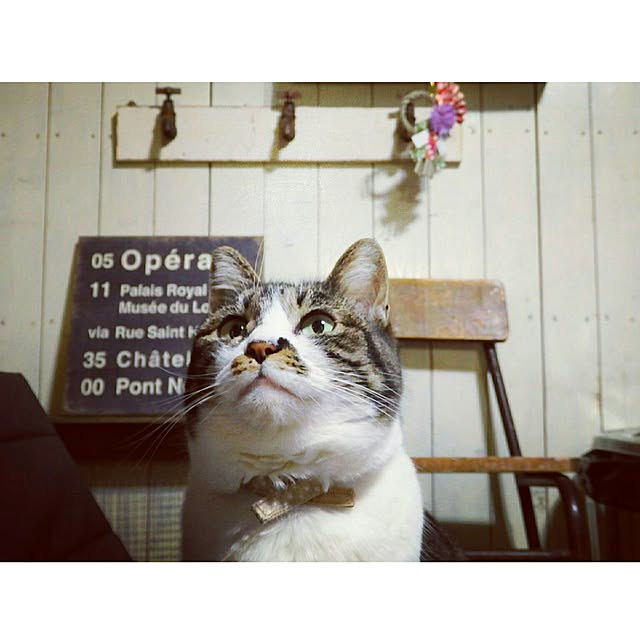 yukiさんの実例写真