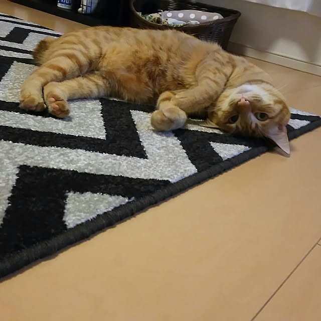 tanaさんの実例写真
