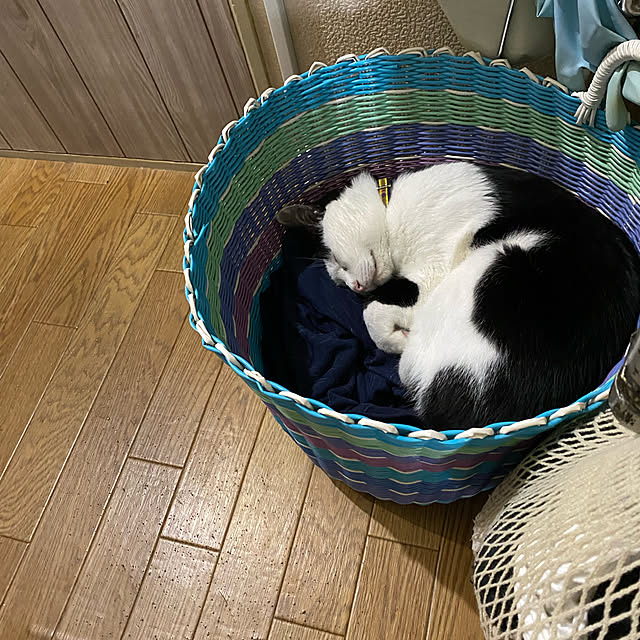 SHIHOさんの実例写真