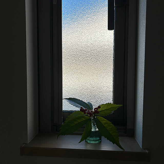 hatsugaさんの部屋