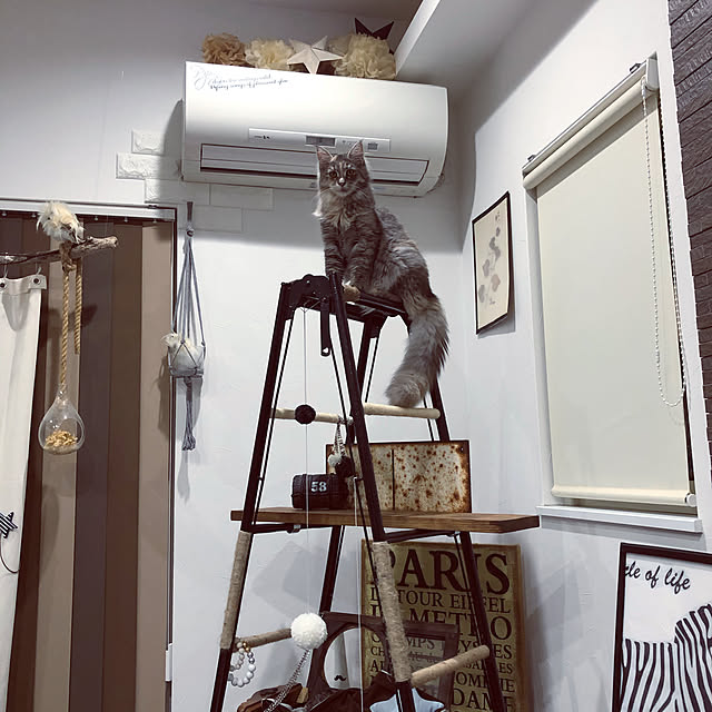 mayumiさんの実例写真