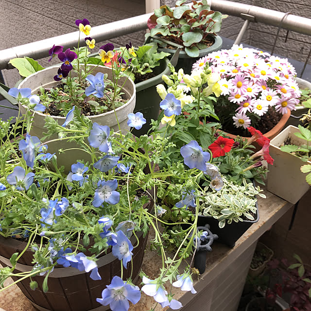 mocoさんの実例写真