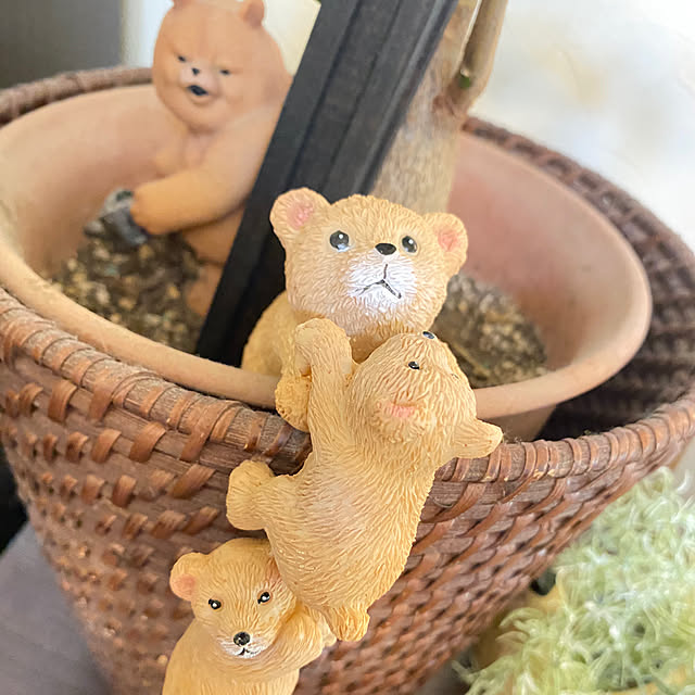 クマのおしゃれなアレンジ・飾り方のインテリア実例 ｜ RoomClip