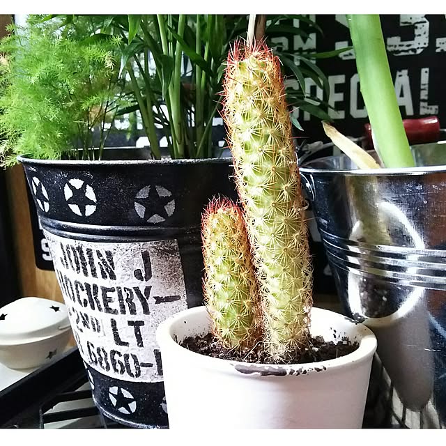 tomokaさんの実例写真