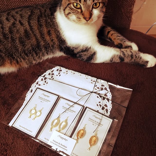 hachiさんの実例写真