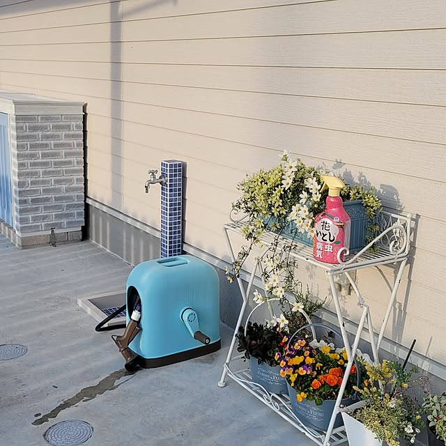 nonbiri_house_さんの部屋