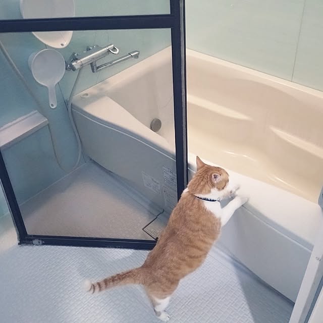 NOAHさんの部屋