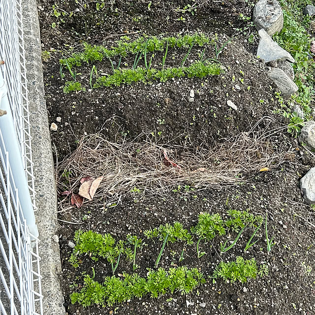 ritsukoさんの部屋