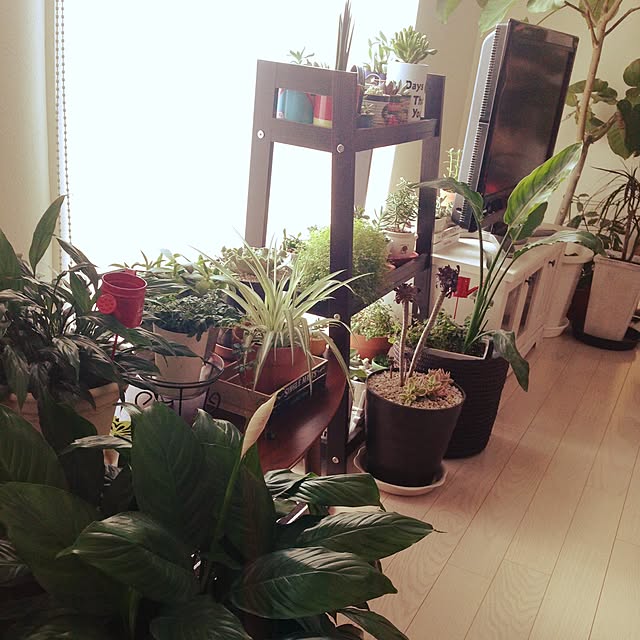 rumirumi313さんの実例写真