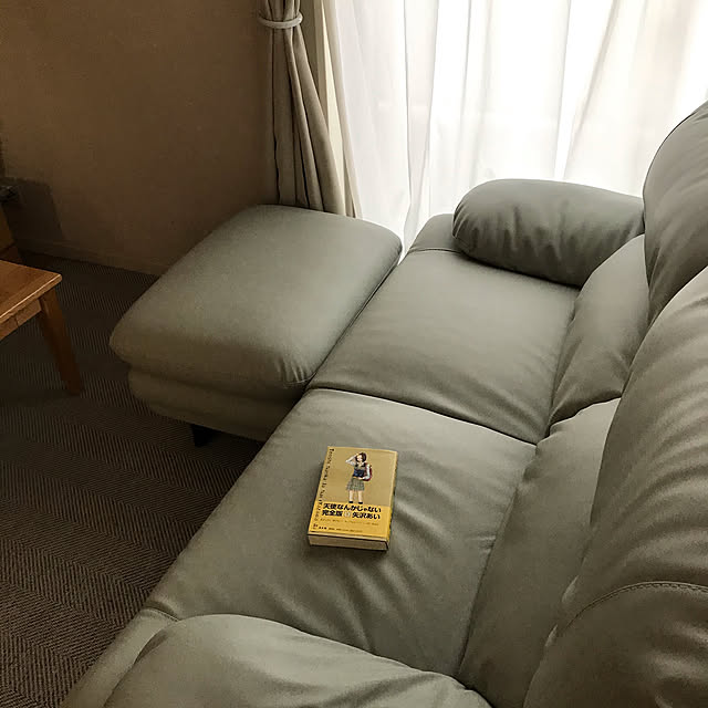 Rayuさんの実例写真