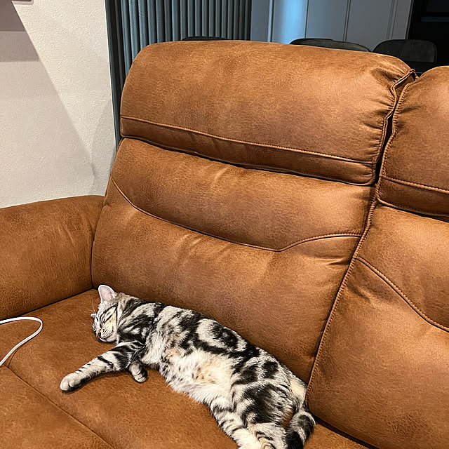 haruさんの実例写真