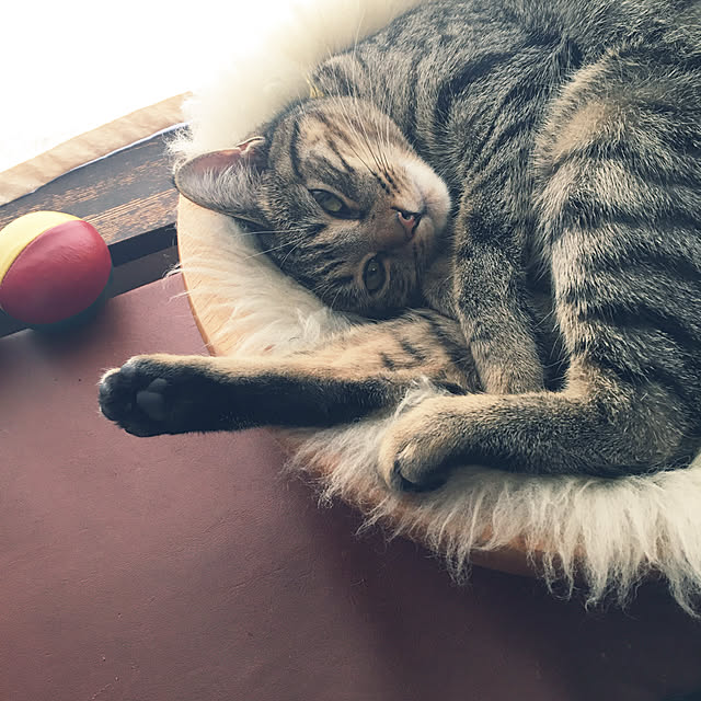 Mさんの実例写真