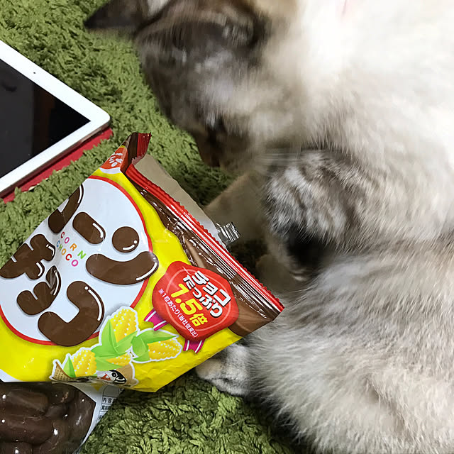 nachuさんの実例写真