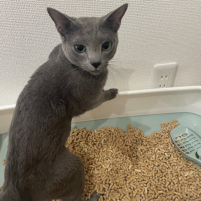 Mikaさんの実例写真