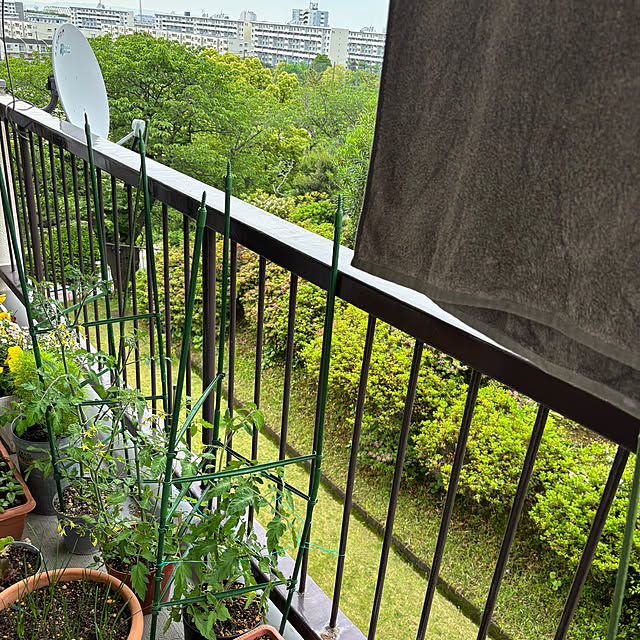 syutmmさんの部屋